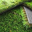 Why Aggregate Layer is Essential for Artificial Grass Installation