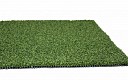 Echo Pro Putt 