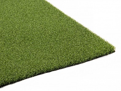 Echo Pro Putt