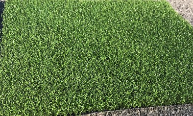 Echo Pro Putt