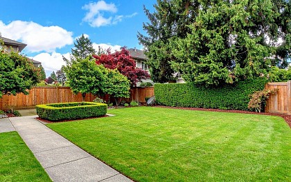 Residential Artificial Grass