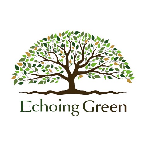 Echoing Green's Guide to Artificial Grass