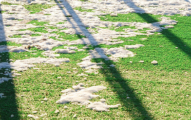 How Artificial Grass Makes Outdoor Spaces Functional All Winter