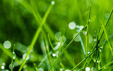 How Artificial Grass Handles Heavy Rain