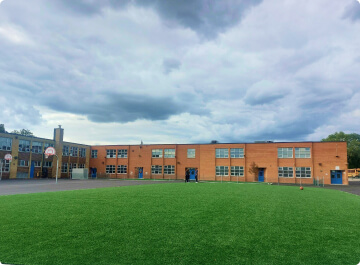 Sports Grasses