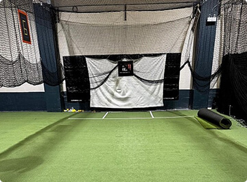 Gym and Indoor Grasses