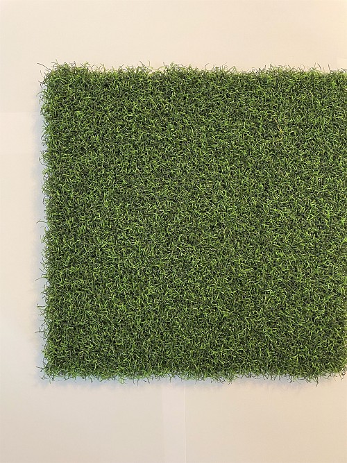 Echo Pro Putt 70