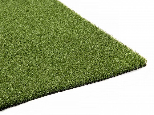 Echo Pro Putt