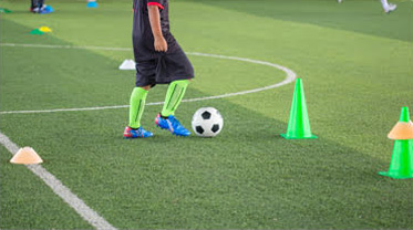 Sports and Gym Grasses