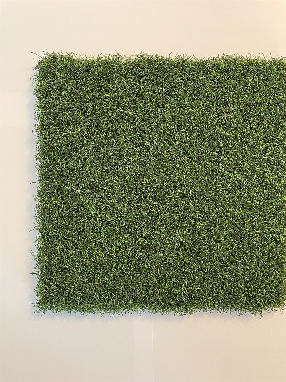 Echo Pro Putt 70