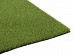 Echo Pro Putt