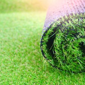 How to Maintain Your Artificial Grass in Toronto for Longevity