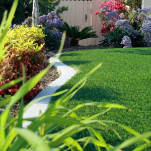 Pros and Cons of Artificial Grass On Your Toronto Lawn