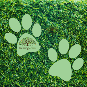 How Artificial Grass in Toronto Protects Your Dog's Paws