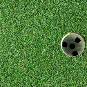 How to Easily Maintain Backyard Putting Green Turf 