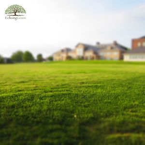 Is Artificial Grass a Good Idea for Cottages?
