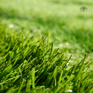 How to Factor Pile Height into Your Choice of Artificial Grass in Toronto