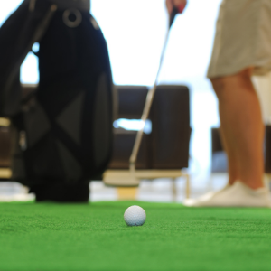 Buyer's Guide to Purchasing a Putting Green 