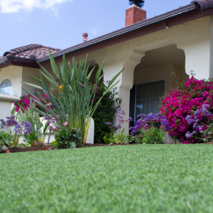 Get Rid of Weeds for Good with Artificial Grass 