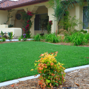 Pros and Cons of Having An Artificial Grass Front Lawn In Toronto