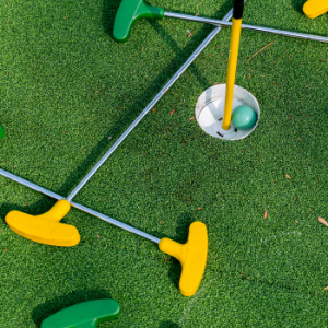 What Qualities to Seek Out In Your Putting Green Turf? 