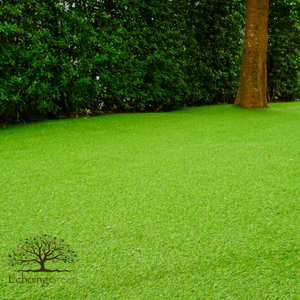 Why Property Managers Should Consider Artificial Turf Installation