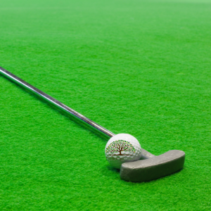 7 Benefits of an Indoor Putting Green