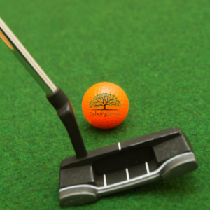 How to Design a Challenging Indoor Putting Green