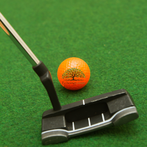 Indoor Putting Green Turf Designs