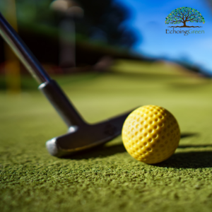 4 Ways You Should Be Cleaning Your Artificial Grass Putting Green