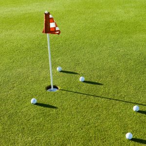 Why Artificial Grass is the Best Surface for a Backyard Putting Green