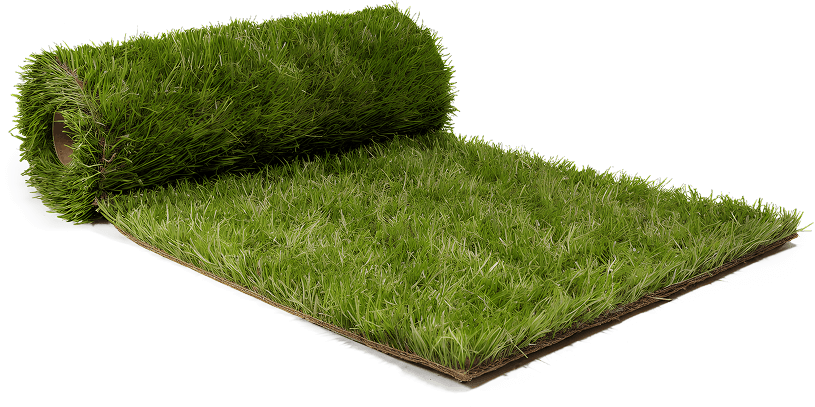 Have a Question? Talk to a Team Member.