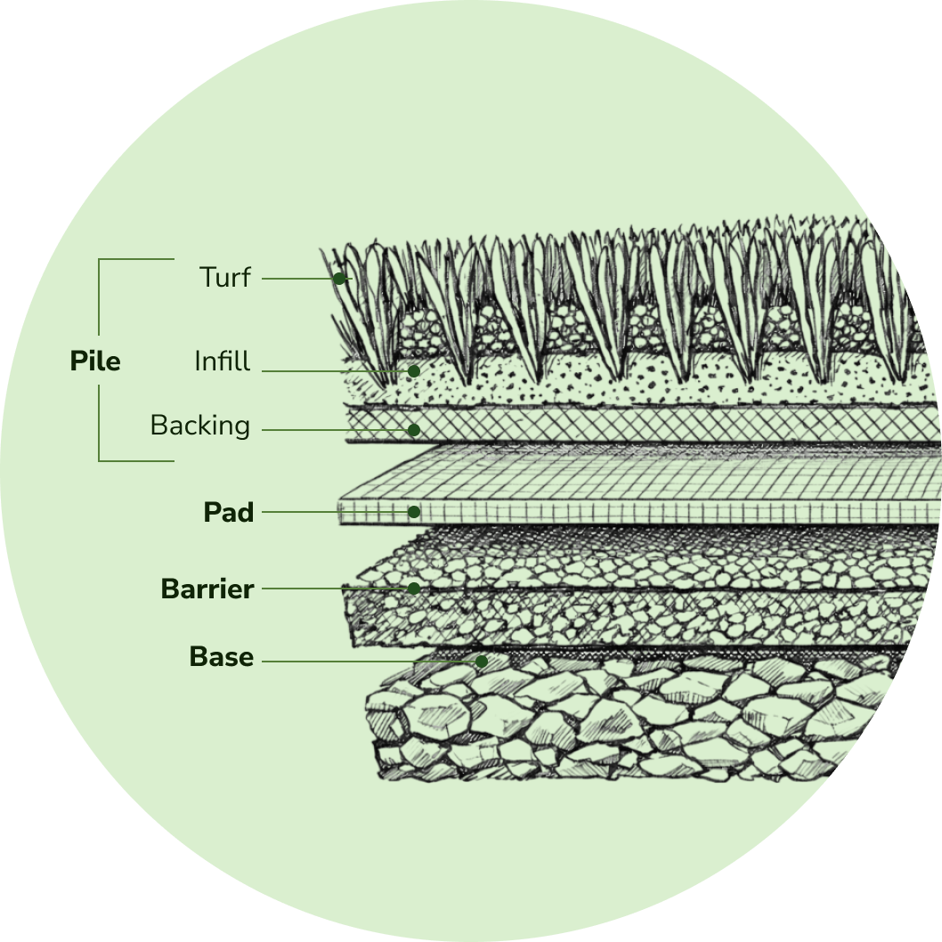 Benefits of Pulvinar Vel Tempus