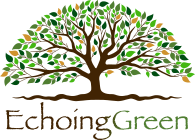 Echoing Green Logo Image