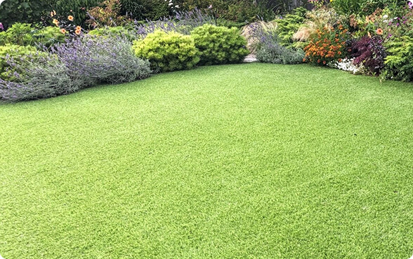 Luxury Artificial Grass Luxury Artificial Grass
