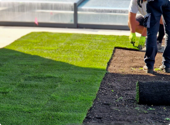 Lawn Replacement Lawn Replacement
