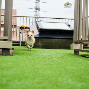 Fake grass for dogs best sale balcony