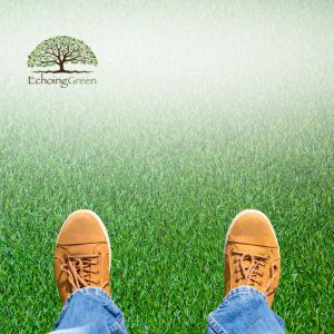 artificial grass installation