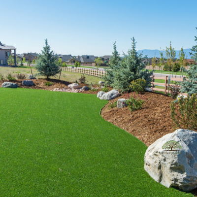 artificial grass for backyards