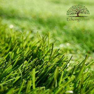 artificial turf cleaning