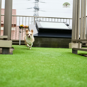 artificial grass for dogs