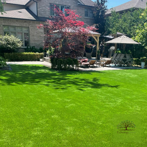 artificial grass Toronto