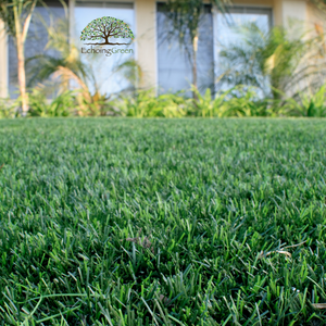 artificial grass Canada