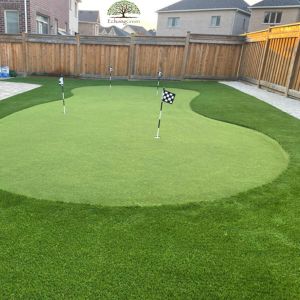 backyard putting green turf