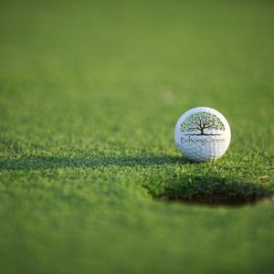 artificial grass putting green