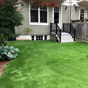 backyard turf Toronto