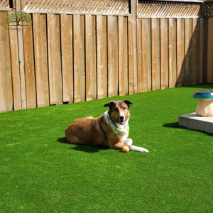 artificial turf for dog daycare facilities