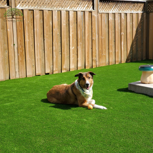 artificial turf for dogs