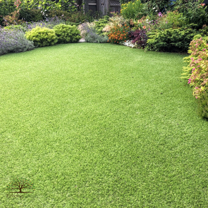 custom artificial grass Toronto