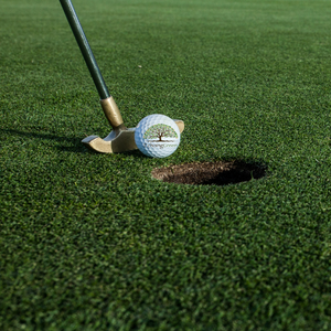 indoor putting green turf